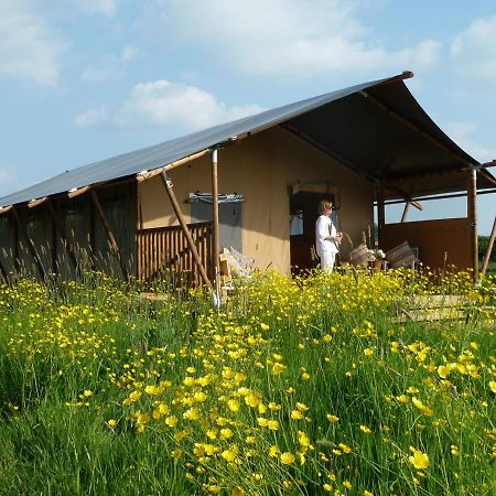 Tall Trees Glamping Baltonsborough Eksteriør bilde