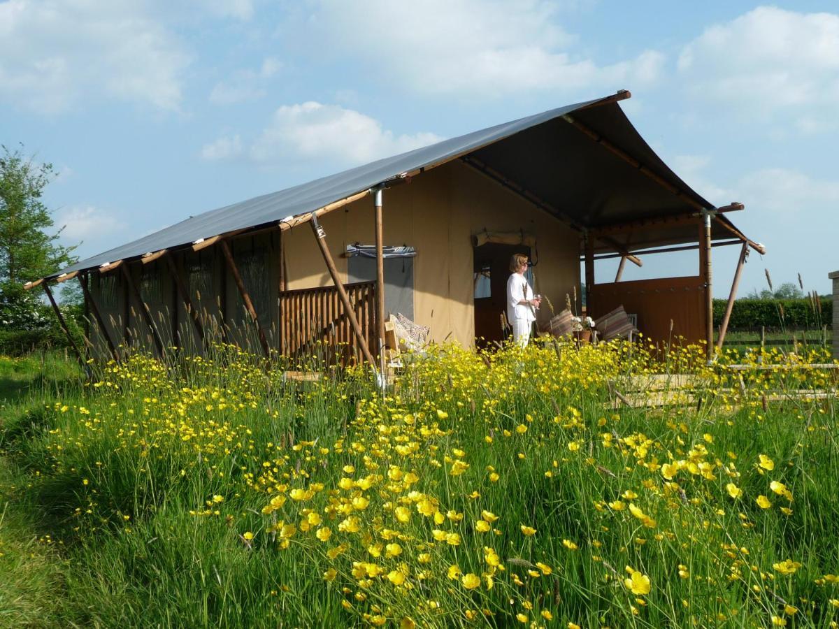 Tall Trees Glamping Baltonsborough Eksteriør bilde