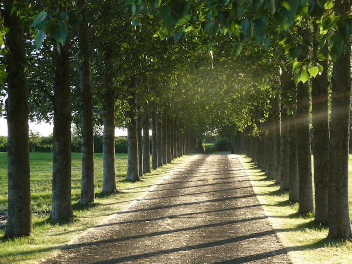 Tall Trees Glamping Baltonsborough Eksteriør bilde