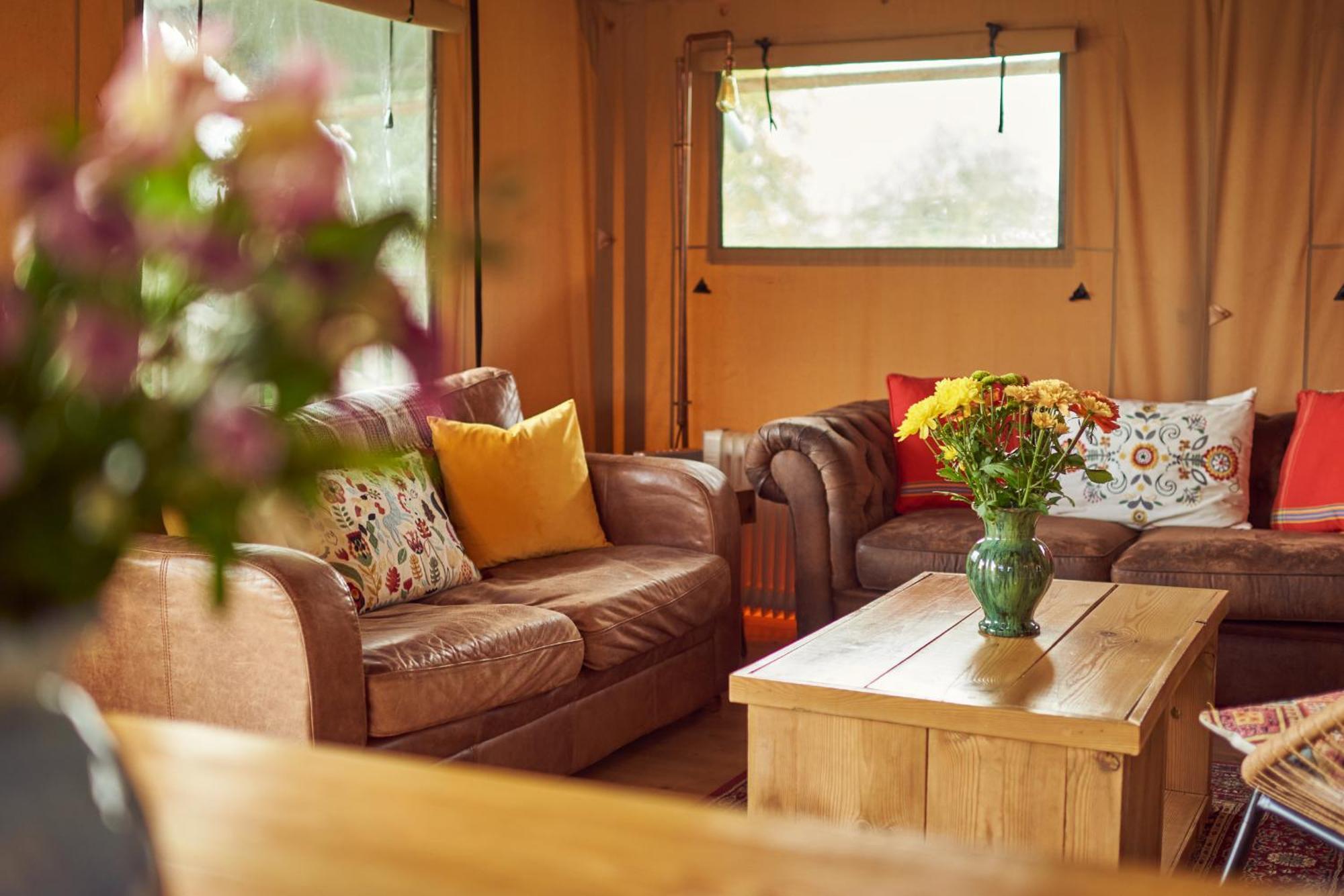 Tall Trees Glamping Baltonsborough Eksteriør bilde