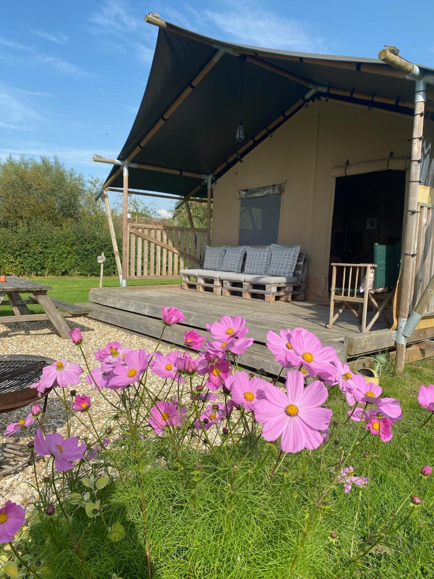 Tall Trees Glamping Baltonsborough Eksteriør bilde