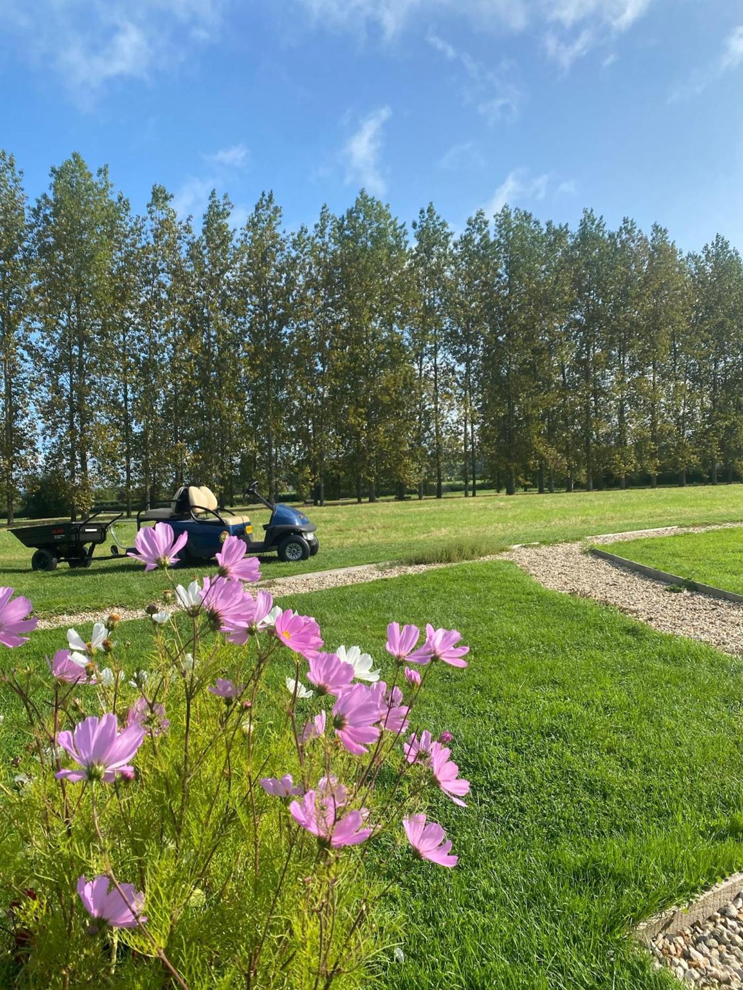 Tall Trees Glamping Baltonsborough Eksteriør bilde